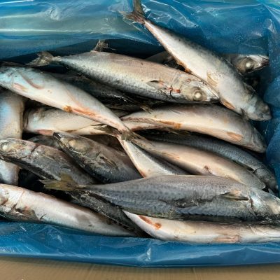 6249766A-0C83-424D-BE6C-CAEF68AFCED6